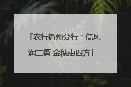 农行衢州分行：儒风润三衢 金穗惠四方
