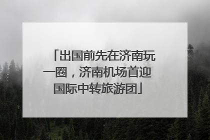 出国前先在济南玩一圈，济南机场首迎国际中转旅游团