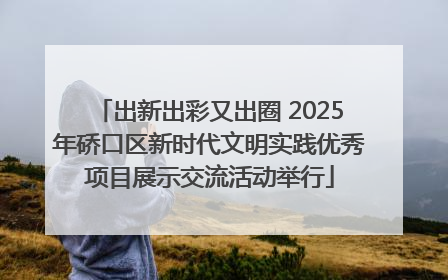 出新出彩又出圈 2025年硚口区新时代文明实践优秀项目展示交流活动举行