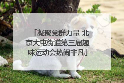 凝聚党群力量 北京大屯街道第三届趣味运动会热闹非凡