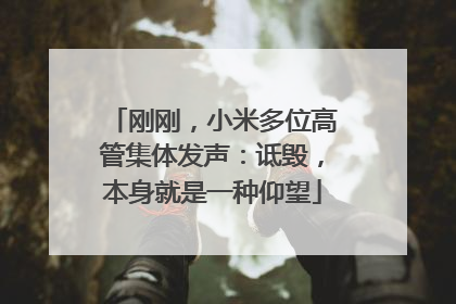 刚刚，小米多位高管集体发声：诋毁，本身就是一种仰望