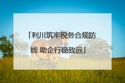 利川筑牢税务合规防线 助企行稳致远