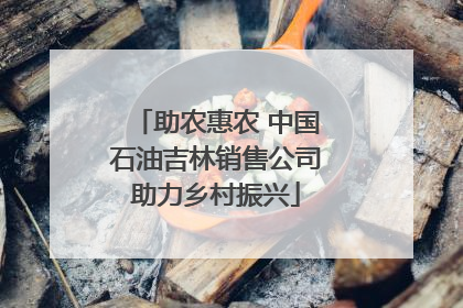 助农惠农 中国石油吉林销售公司助力乡村振兴