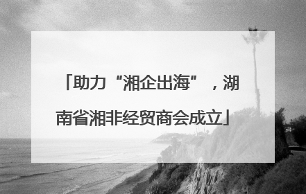 助力“湘企出海”，湖南省湘非经贸商会成立