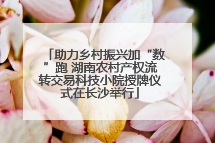 助力乡村振兴加“数”跑 湖南农村产权流转交易科技小院授牌仪式在长沙举行