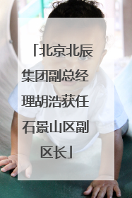 北京北辰集团副总经理胡浩获任石景山区副区长