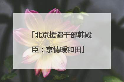 北京援疆干部韩殿臣：京情暖和田