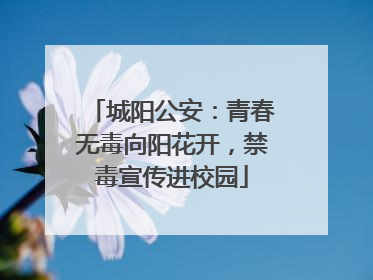 城阳公安：青春无毒向阳花开，禁毒宣传进校园