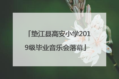 垫江县高安小学2019级毕业音乐会落幕