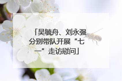 吴毓舟、刘永强分别带队开展“七一”走访慰问