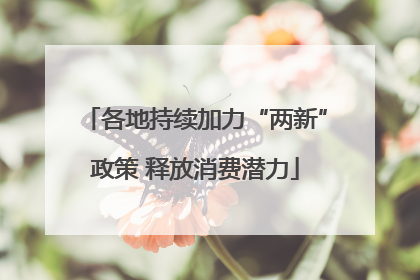 各地持续加力“两新”政策 释放消费潜力