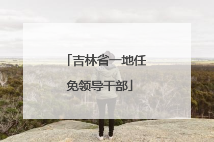 吉林省一地任免领导干部