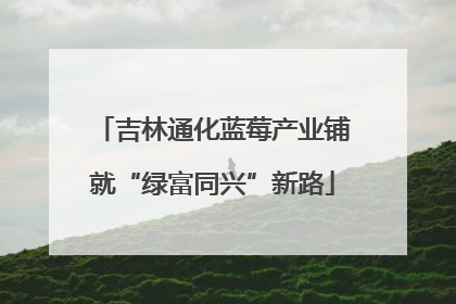吉林通化蓝莓产业铺就“绿富同兴”新路