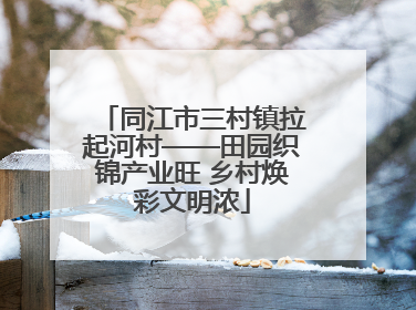 同江市三村镇拉起河村——田园织锦产业旺 乡村焕彩文明浓