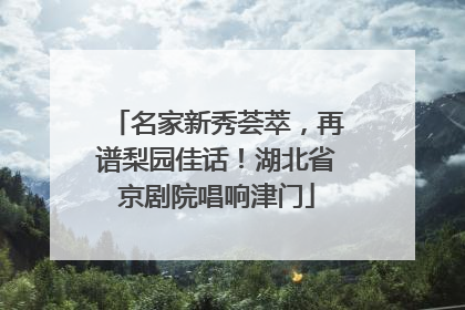 名家新秀荟萃，再谱梨园佳话！湖北省京剧院唱响津门