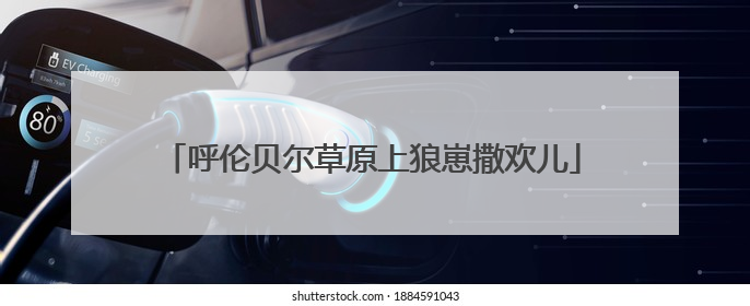 呼伦贝尔草原上狼崽撒欢儿