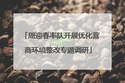 周迎春率队开展优化营商环境整改专题调研
