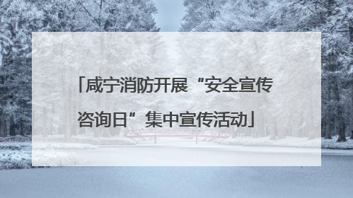 咸宁消防开展“安全宣传咨询日”集中宣传活动
