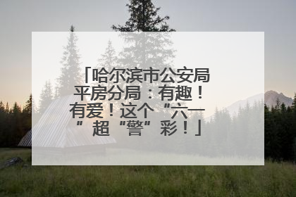 哈尔滨市公安局平房分局：有趣！有爱！这个“六一”超“警”彩！