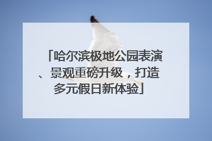 哈尔滨极地公园表演、景观重磅升级，打造多元假日新体验
