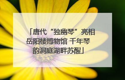 唐代“独幽琴”亮相岳阳楼博物馆 千年琴韵洞庭湖畔苏醒