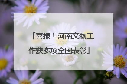 喜报！河南文物工作获多项全国表彰