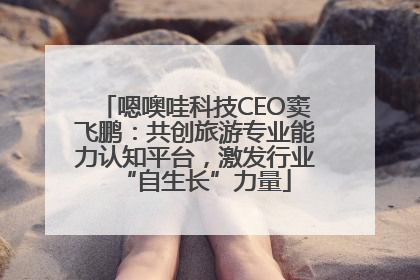 嗯噢哇科技CEO窦飞鹏：共创旅游专业能力认知平台，激发行业“自生长”力量
