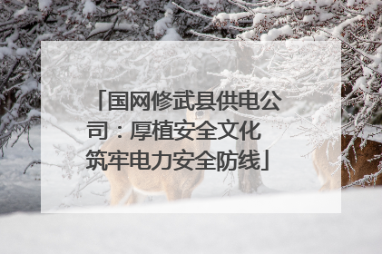 国网修武县供电公司：厚植安全文化 筑牢电力安全防线