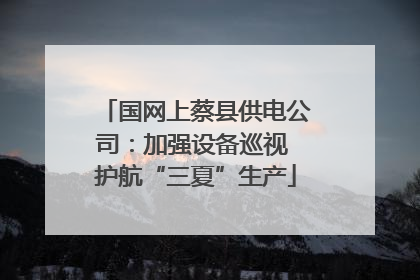 国网上蔡县供电公司：加强设备巡视 护航“三夏”生产