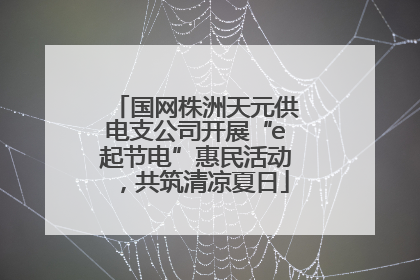 国网株洲天元供电支公司开展“e起节电”惠民活动，共筑清凉夏日