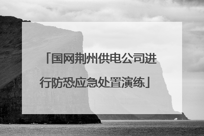 国网荆州供电公司进行防恐应急处置演练