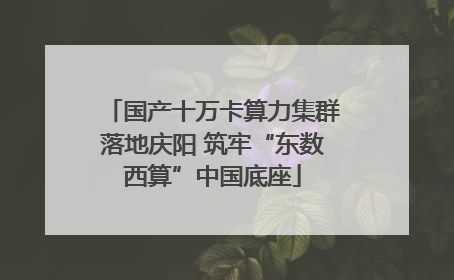 国产十万卡算力集群落地庆阳 筑牢“东数西算”中国底座