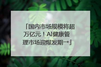 国内市场规模将超万亿元！AI健康管理市场迎爆发期→