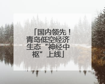 国内领先！青岛低空经济生态“神经中枢”上线