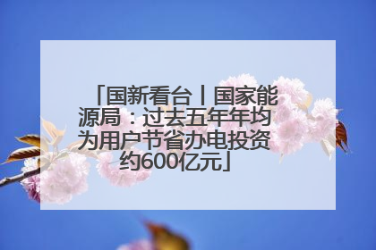 国新看台丨国家能源局：过去五年年均为用户节省办电投资约600亿元