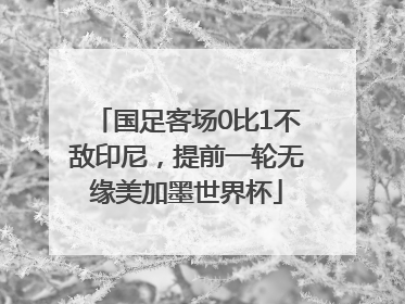 国足客场0比1不敌印尼，提前一轮无缘美加墨世界杯