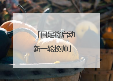 国足将启动新一轮换帅