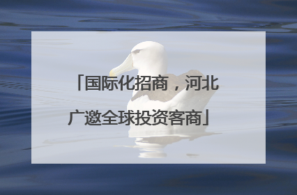 国际化招商，河北广邀全球投资客商
