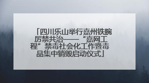 四川乐山举行嘉州铁腕 厉禁共治——“嘉网工程”禁毒社会化工作暨毒品集中销毁启动仪式