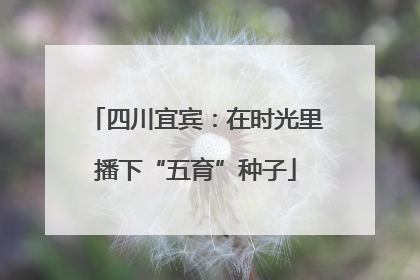四川宜宾：在时光里播下“五育”种子