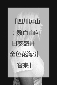 四川屏山：数百亩向日葵盛开 金色花海引客来