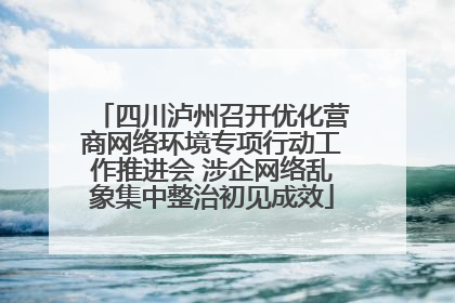 四川泸州召开优化营商网络环境专项行动工作推进会 涉企网络乱象集中整治初见成效