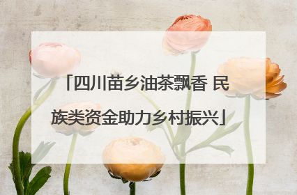 四川苗乡油茶飘香 民族类资金助力乡村振兴