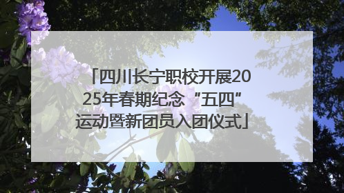四川长宁职校开展2025年春期纪念“五四”运动暨新团员入团仪式