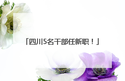 四川5名干部任新职！