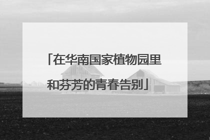 在华南国家植物园里和芬芳的青春告别