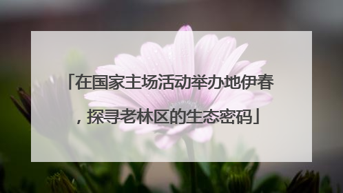 在国家主场活动举办地伊春，探寻老林区的生态密码