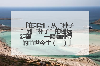 在非洲，从“种子”到“杯子”的遥远距离——一颗咖啡豆的前世今生（三）