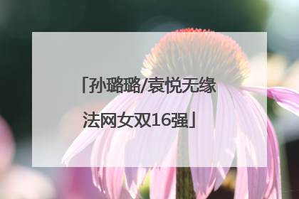 孙璐璐/袁悦无缘法网女双16强