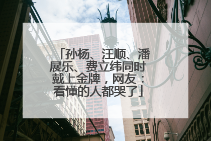 孙杨、汪顺、潘展乐、费立纬同时戴上金牌，网友：看懂的人都哭了